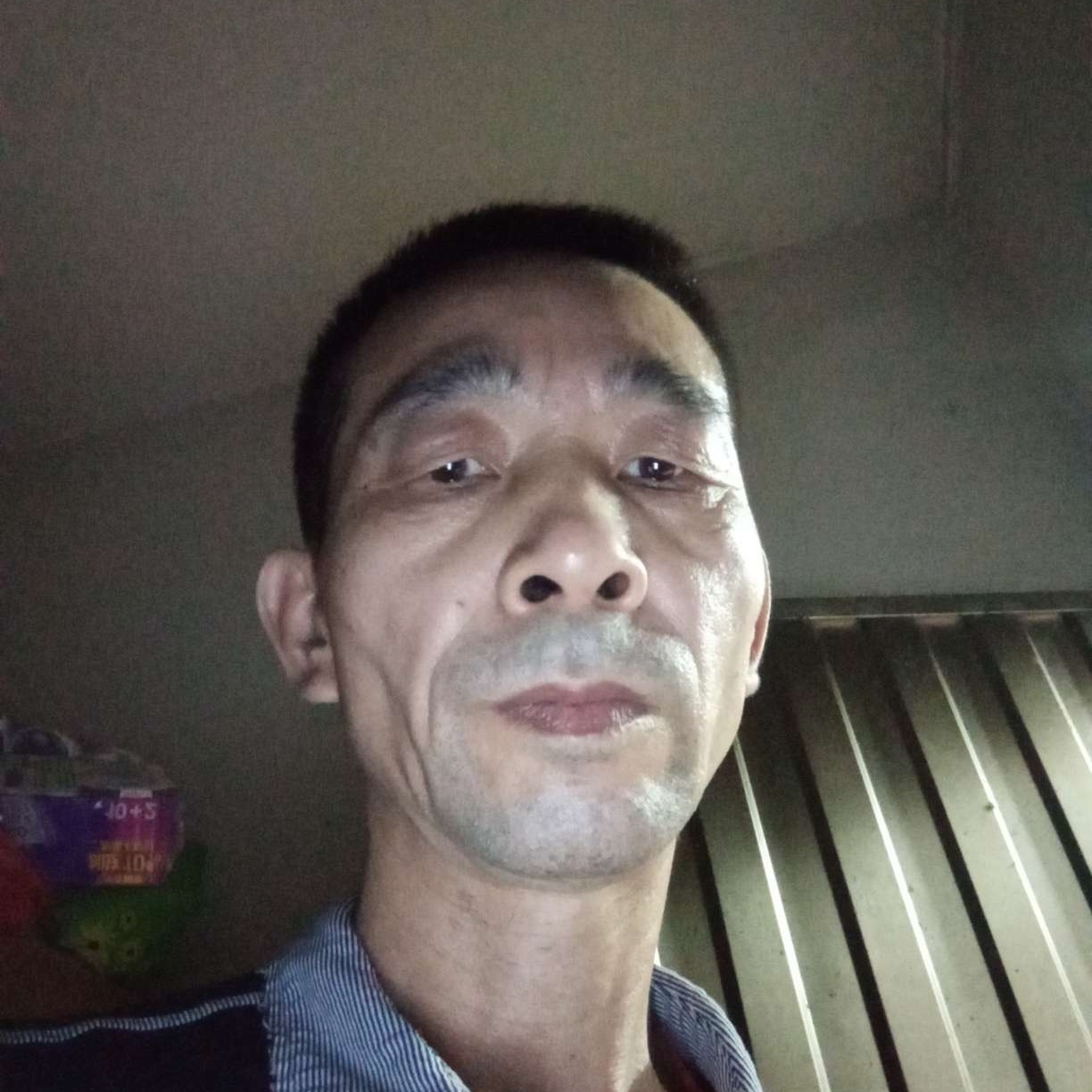 小熊猫吃醋纯情的照片