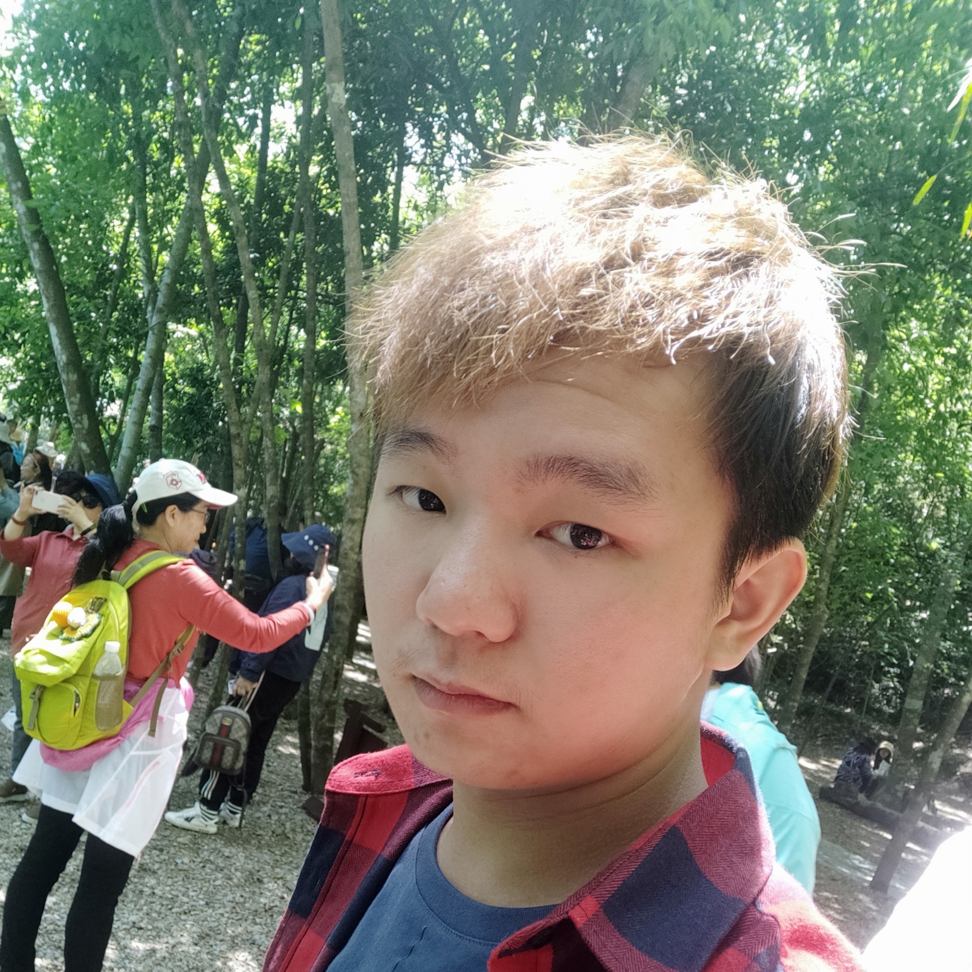公积金需要的照片