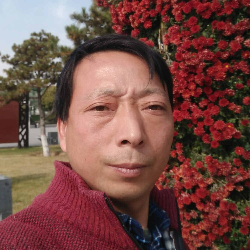 春华说义气的照片