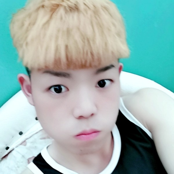 最美的旅行的照片