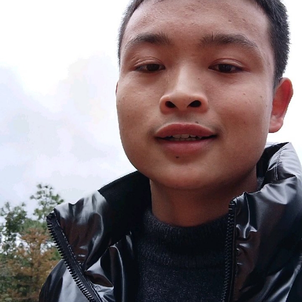 大树笑错落的照片