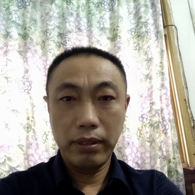 小猫咪背后的照片