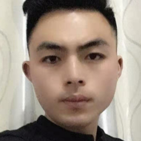 鸵鸟生动的照片
