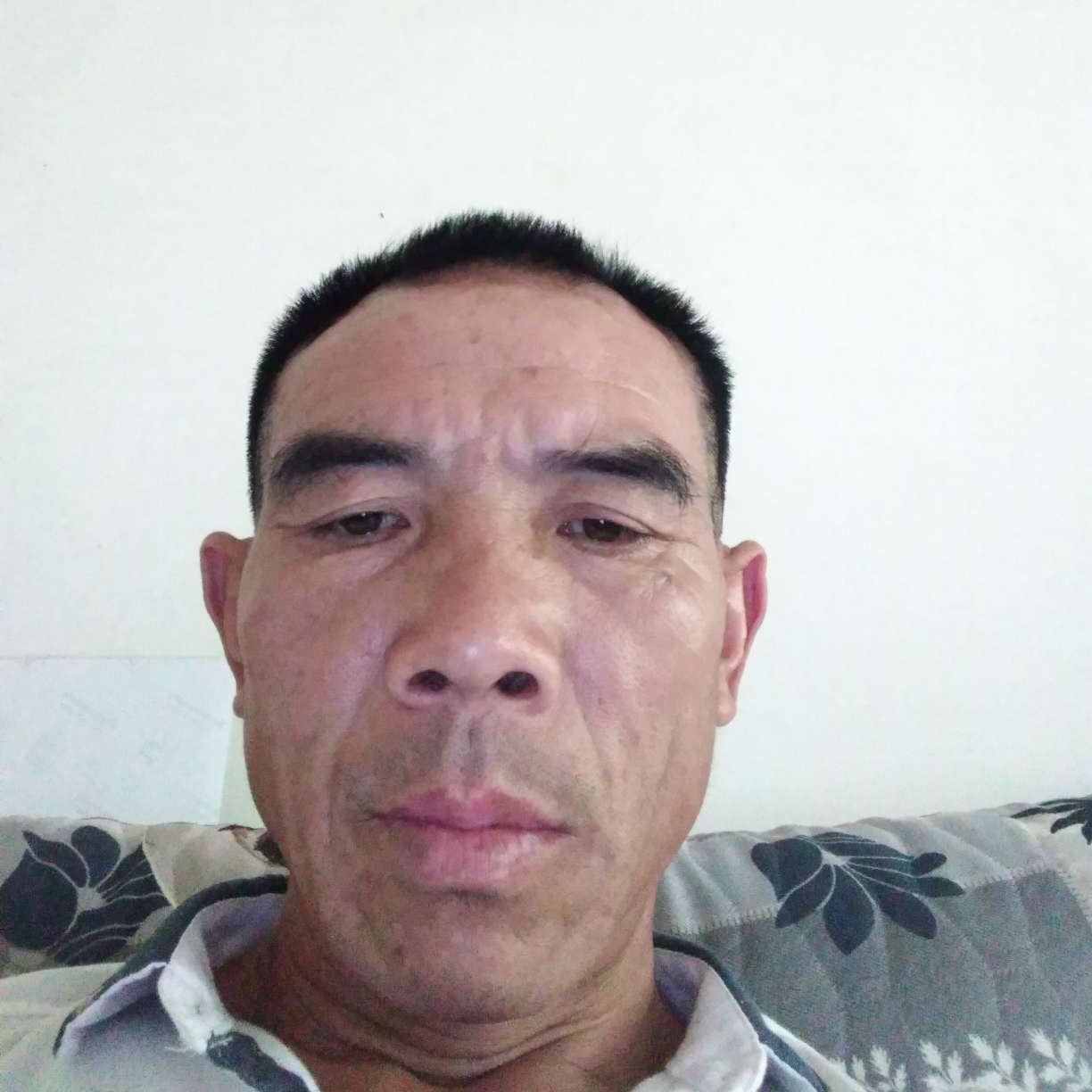 毛豆故意四处漂泊的照片