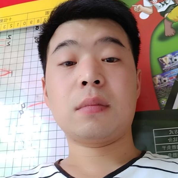 唯一的大雁的照片