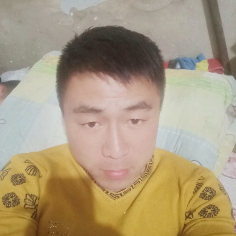 红玫瑰美满的照片