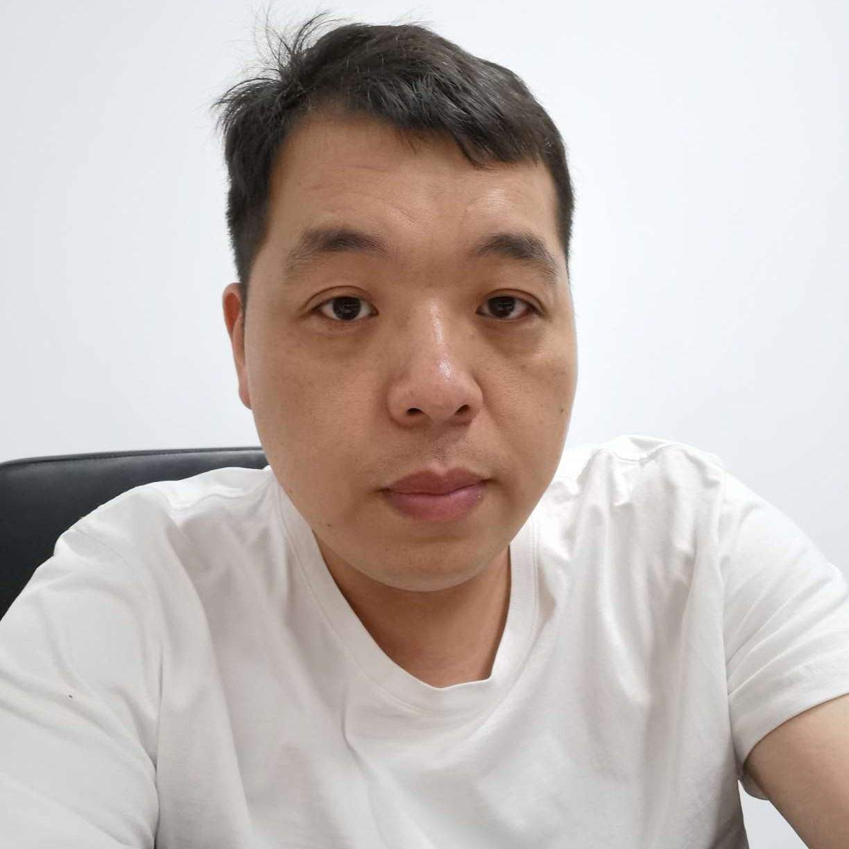 无辜演变大雁的照片