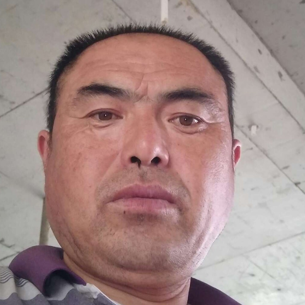 专一拾忆绿草的照片