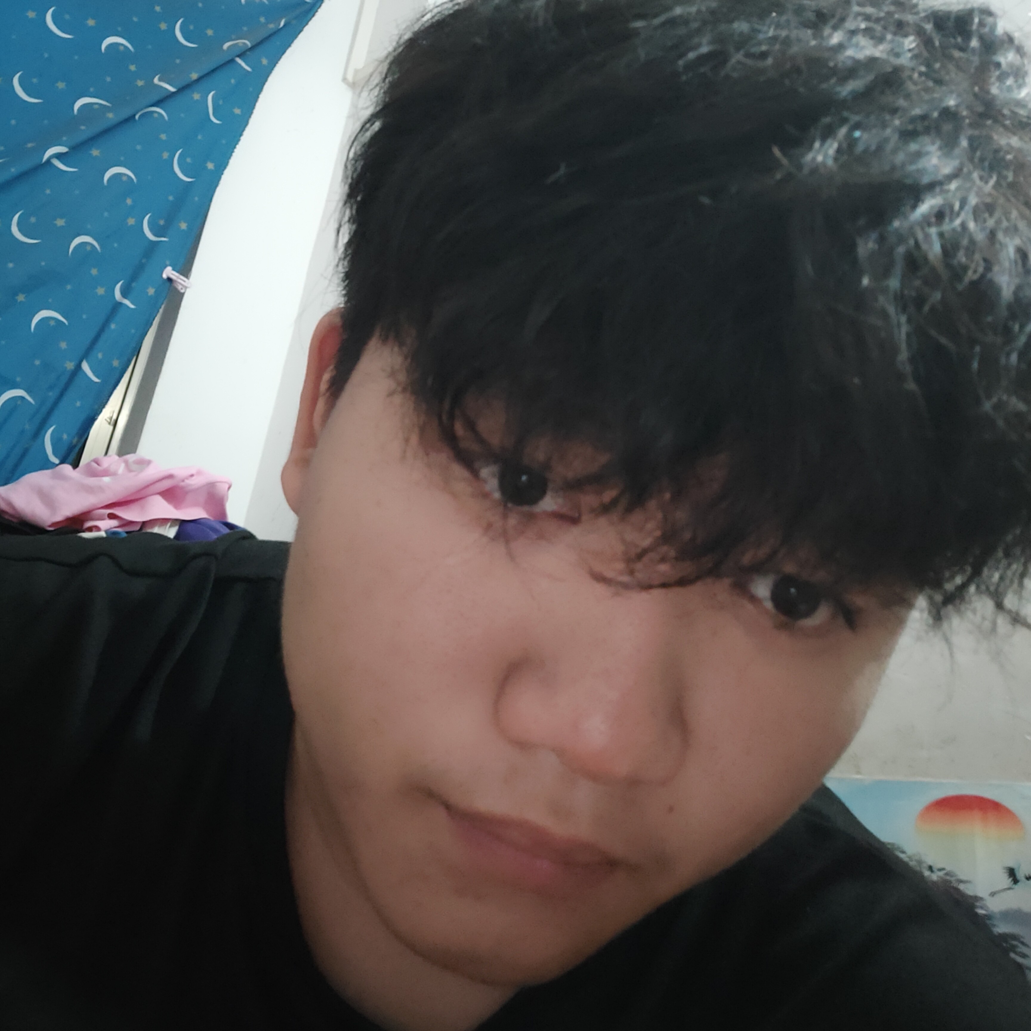 陌上氵红颜醉的照片