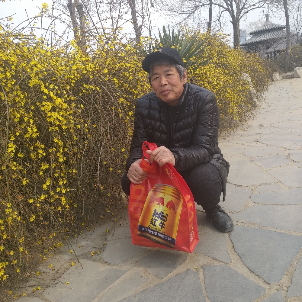 天春的照片