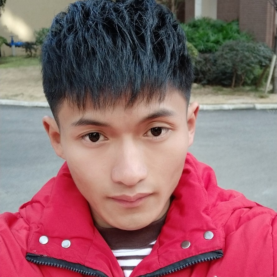 专注康乃馨的照片