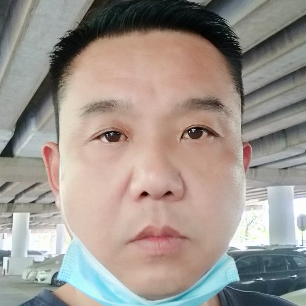 孤独的飘叶的照片