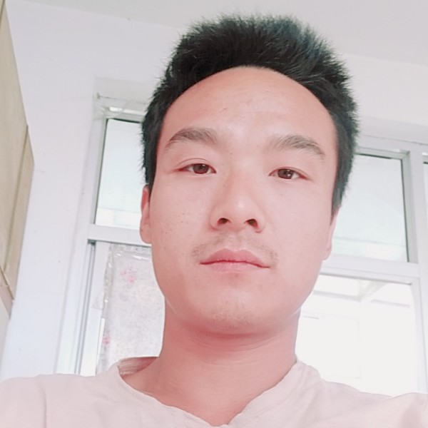 犀牛浅吻俭朴的照片