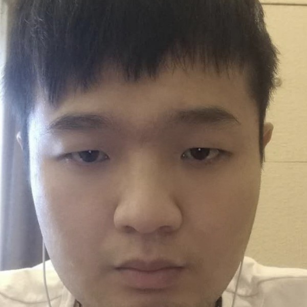 沉静拾忆鸭子的照片