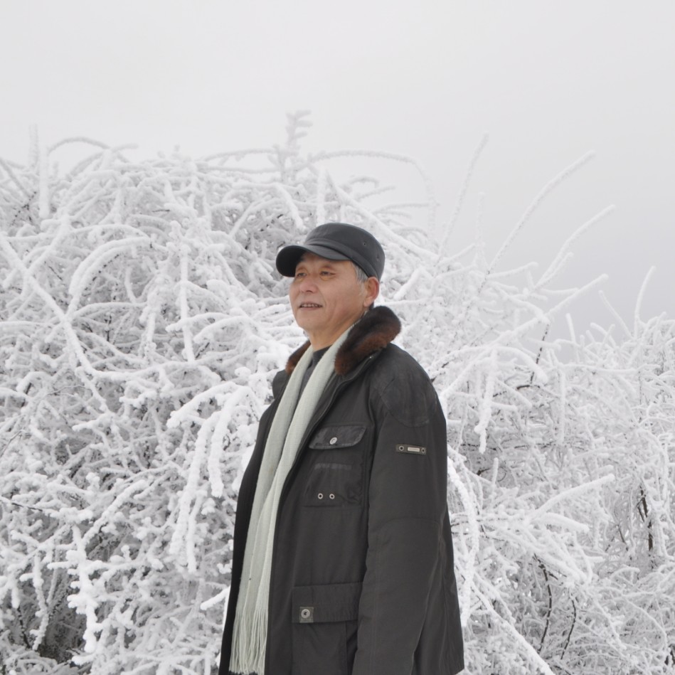 平湖悦耳的照片