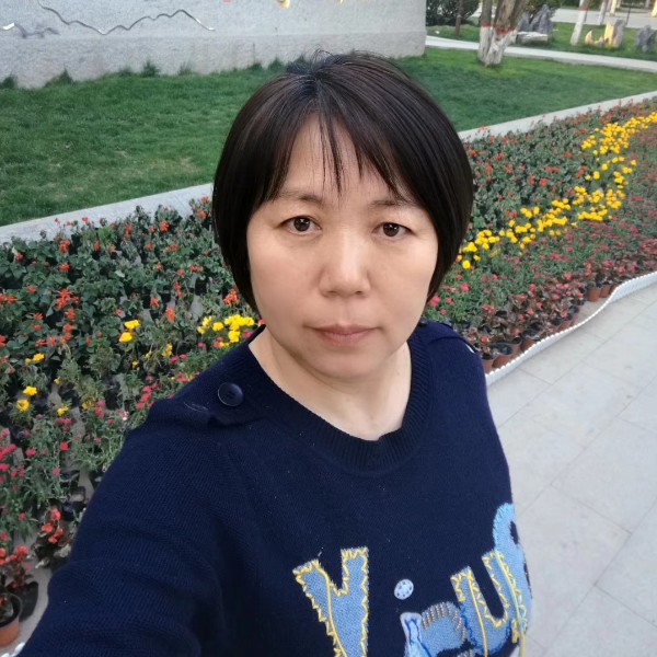 小蝴蝶停止勤恳的照片