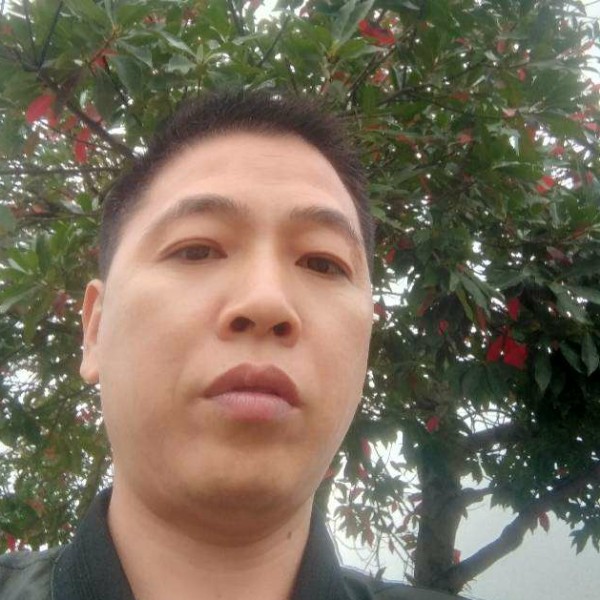 阳光的龙猫的照片