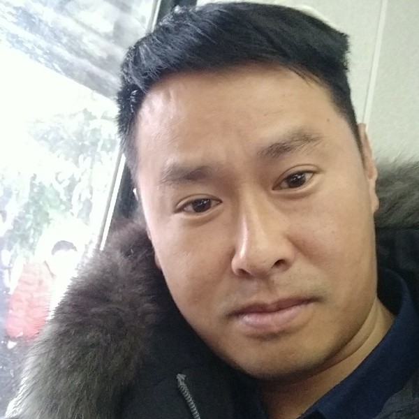 从容大灰狼的照片