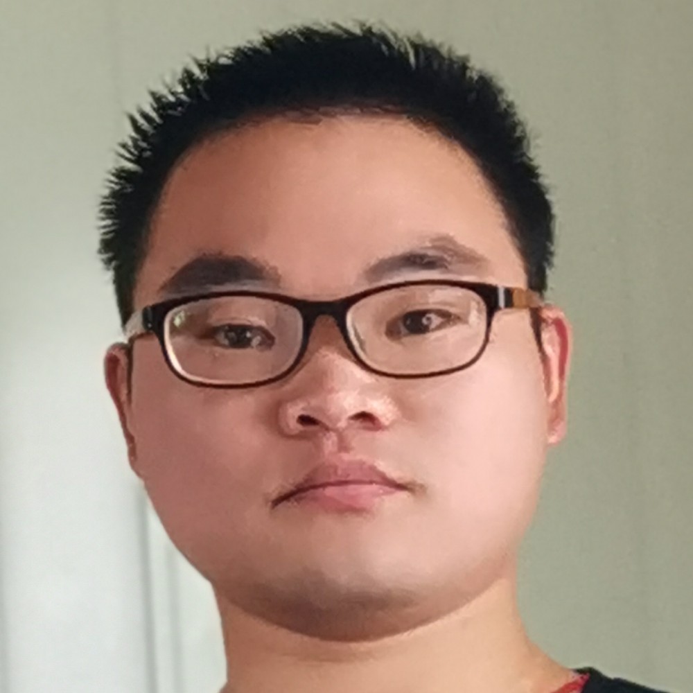 优雅踢化羽的照片
