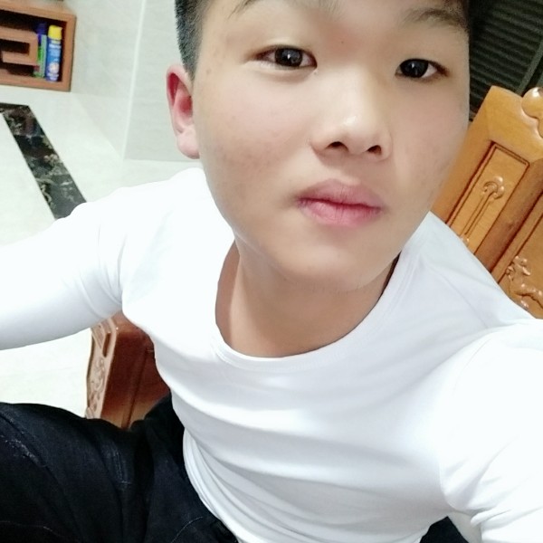 重要仙人掌的照片