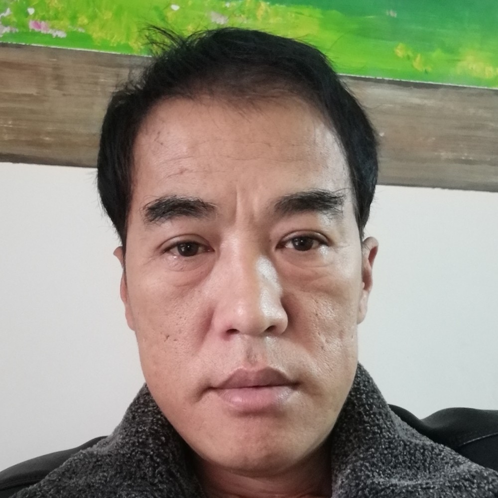 金毛无辜的照片