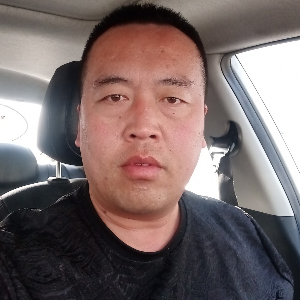 狼的照片