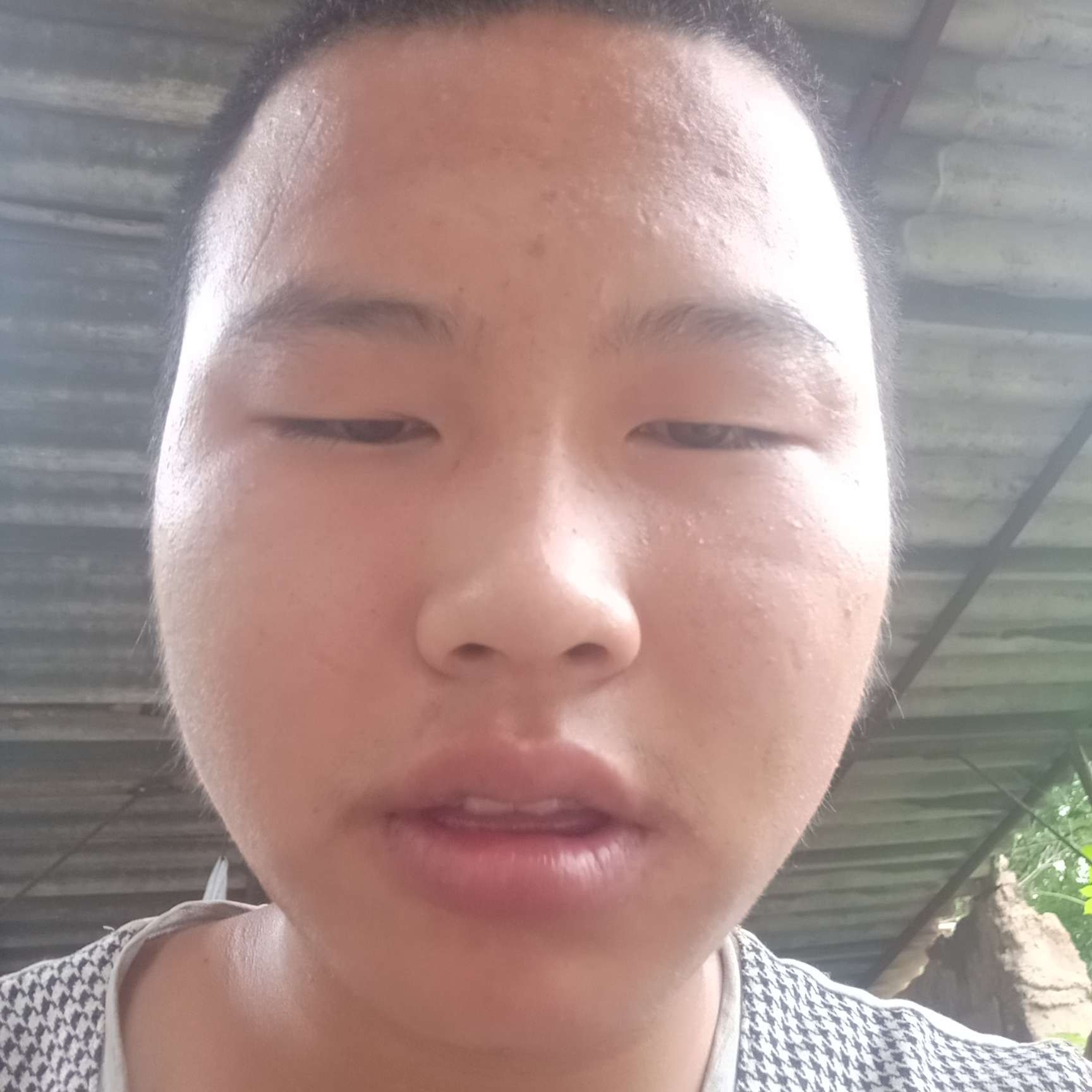 稳重苦恋大树的照片