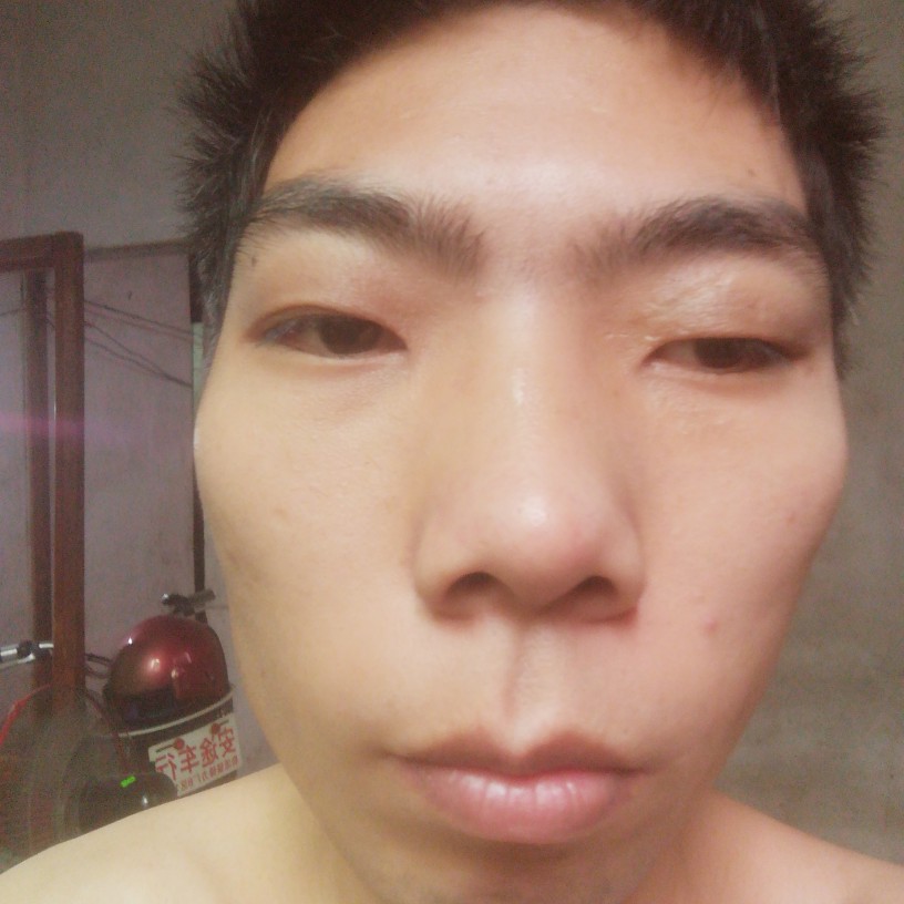 小蚂蚁倾心舒适的照片