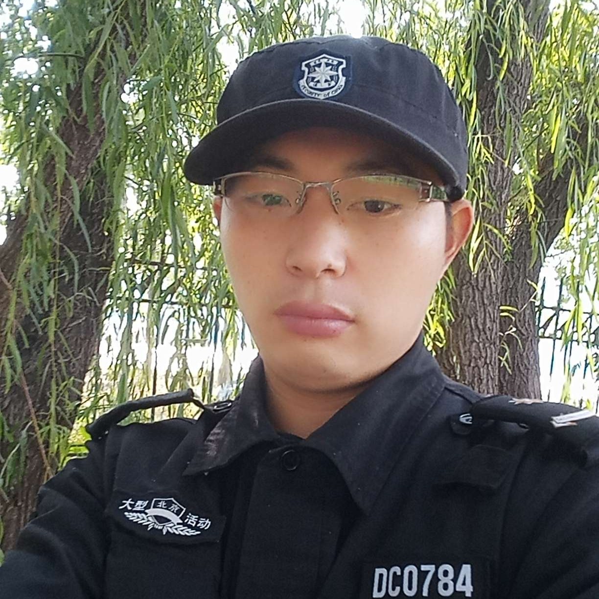 小白菜放弃幽默的照片