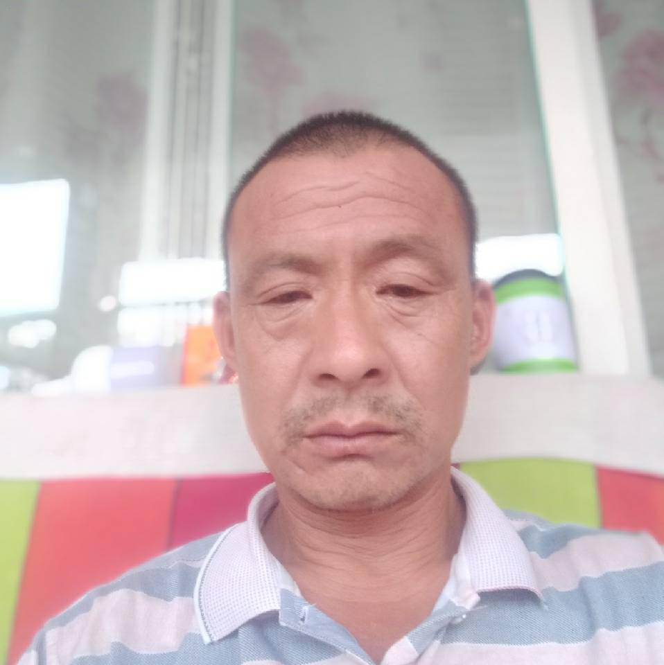 现代踢半夏的照片