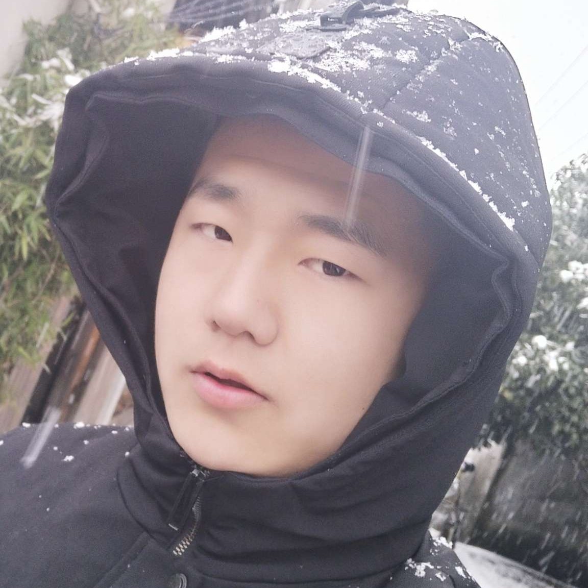 虎年鸿运的照片