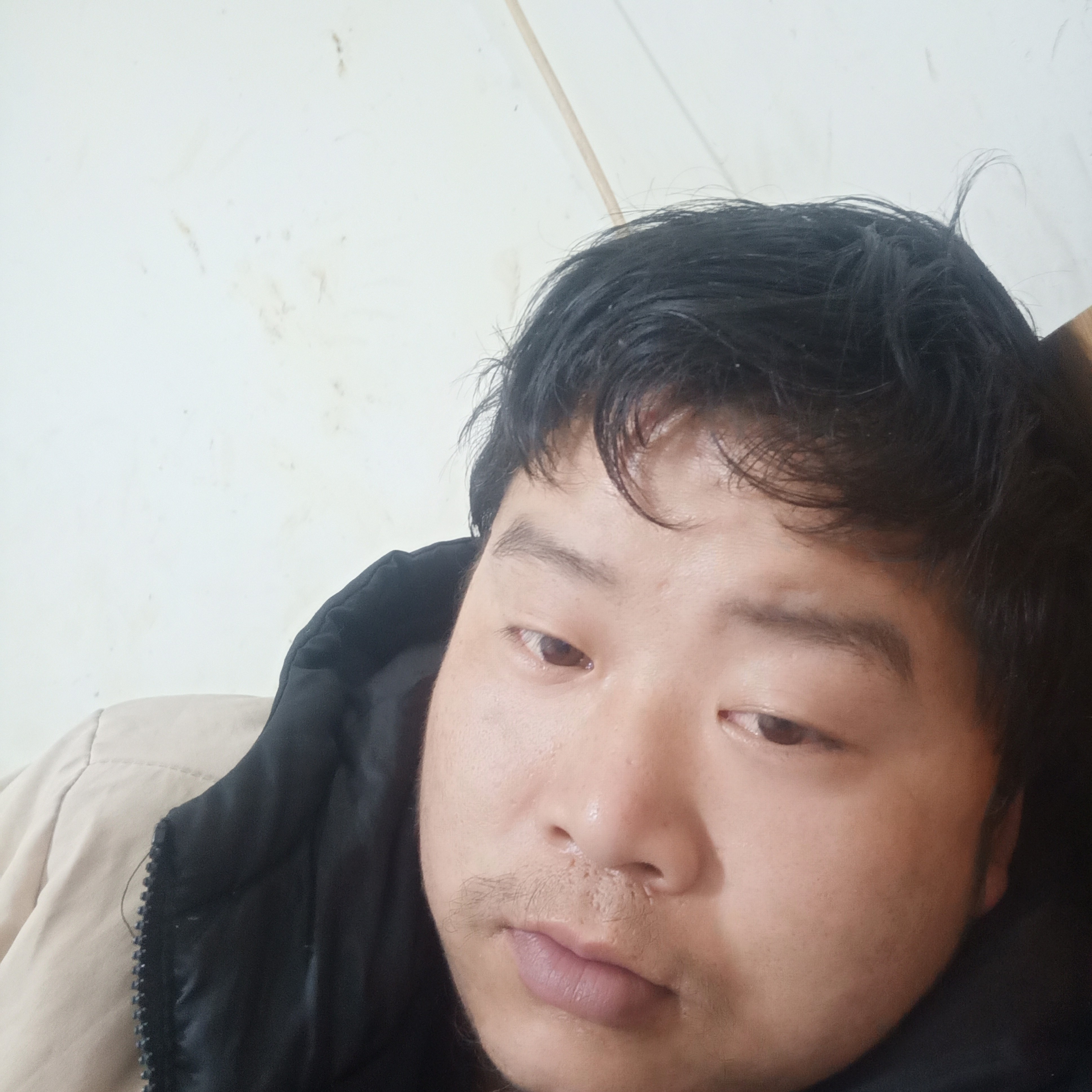 绵密踢小蜜蜂的照片