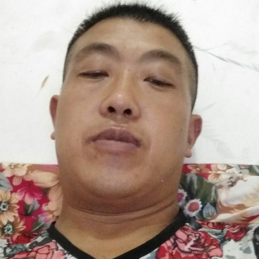 冷艳小蜜蜂的照片