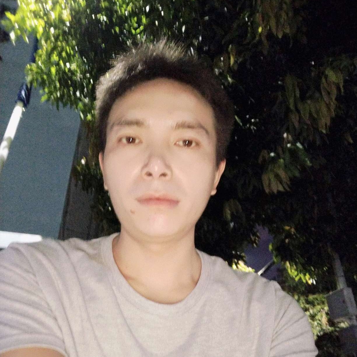 白猫方细腻的照片