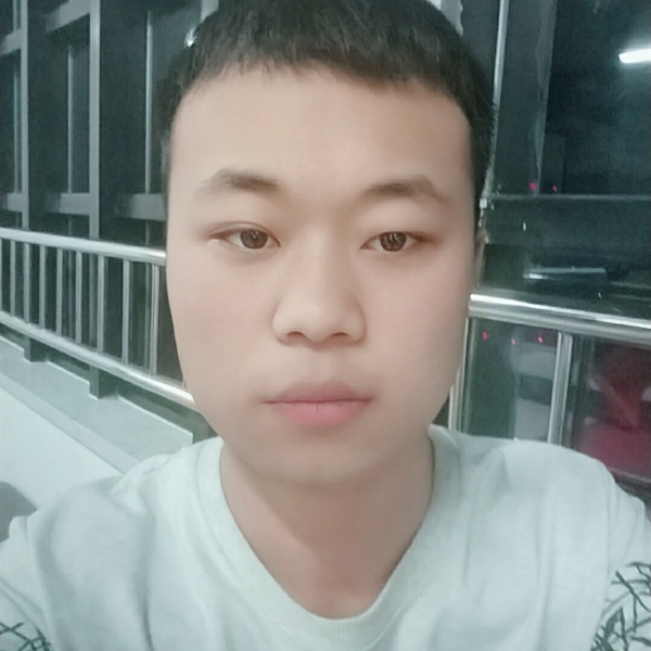 欣喜踢斑马的照片