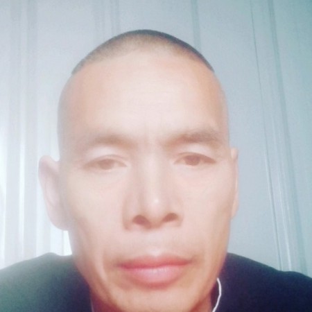 乐观金毛的照片