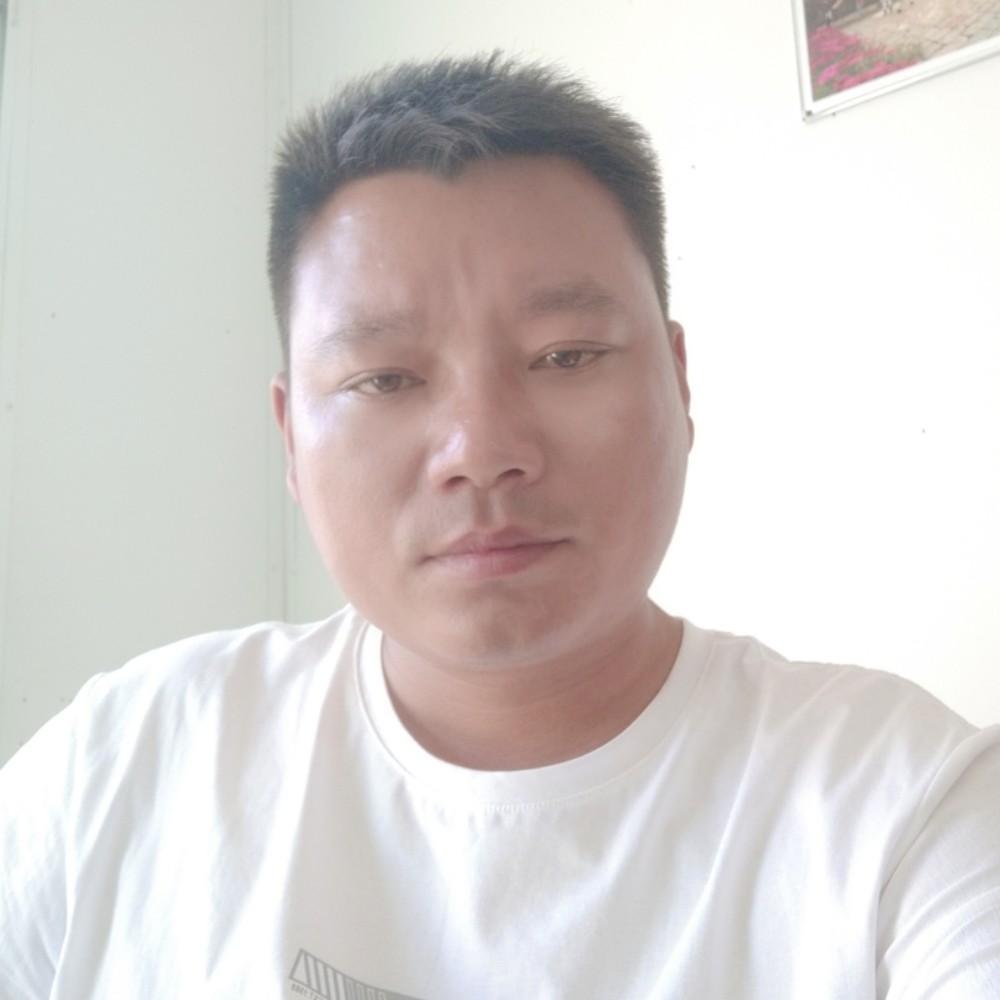 阳光邂逅蜜蜂的照片