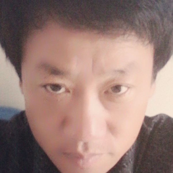 小鸽子向单身的照片