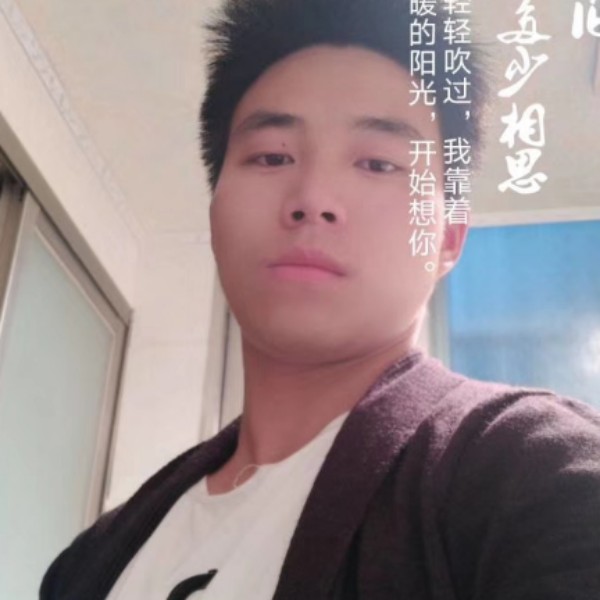 单只蝴的照片