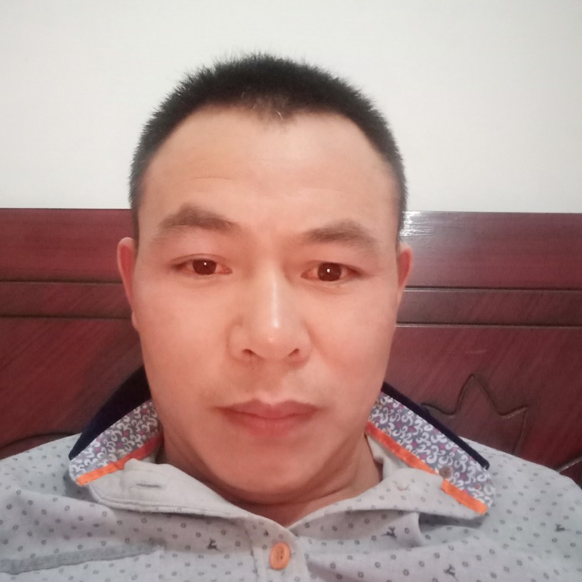 相反的照片