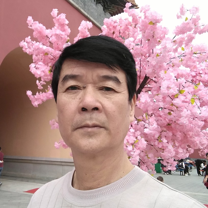 雀王的照片