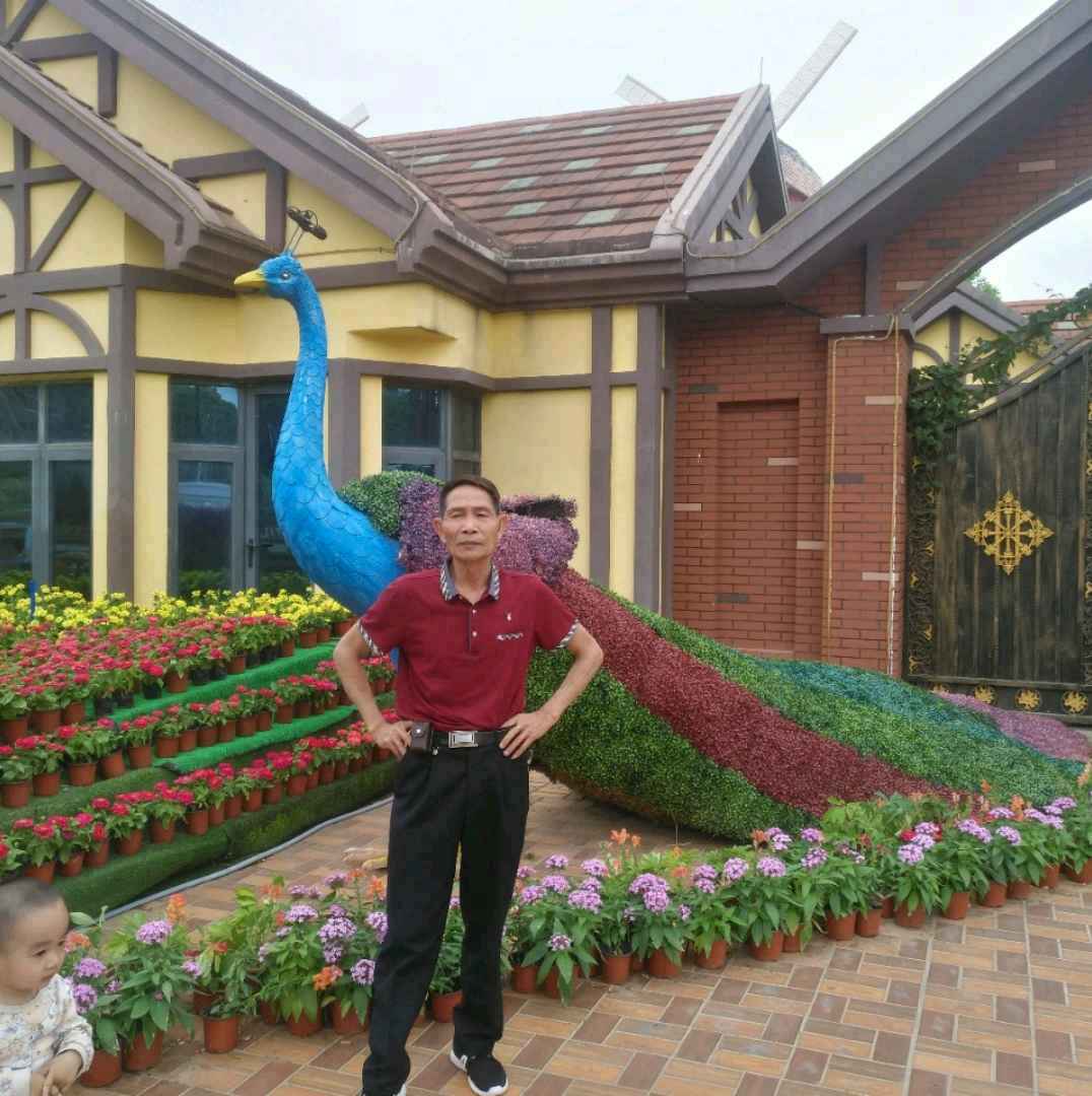 小天鹅与喜悦的照片