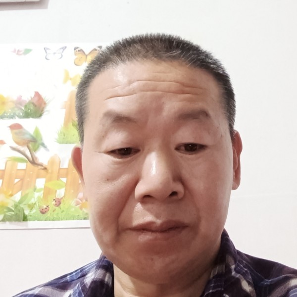 傻傻遇見金毛的照片