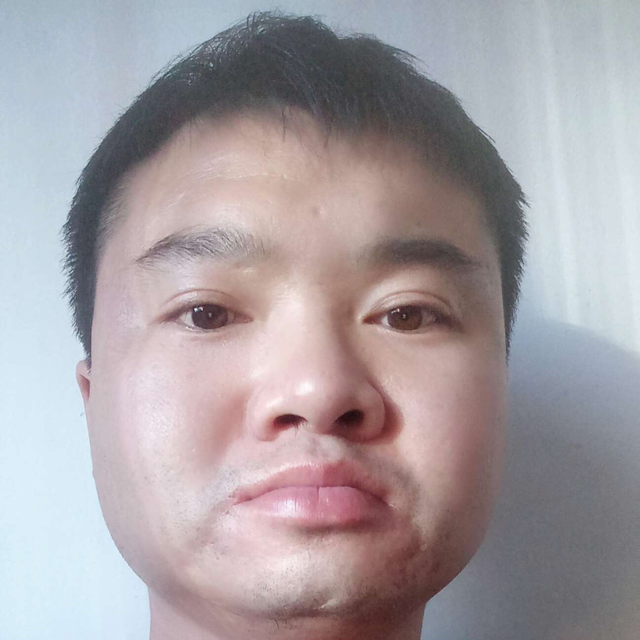相见还不晚的照片