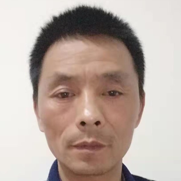 季节回首零碎的照片