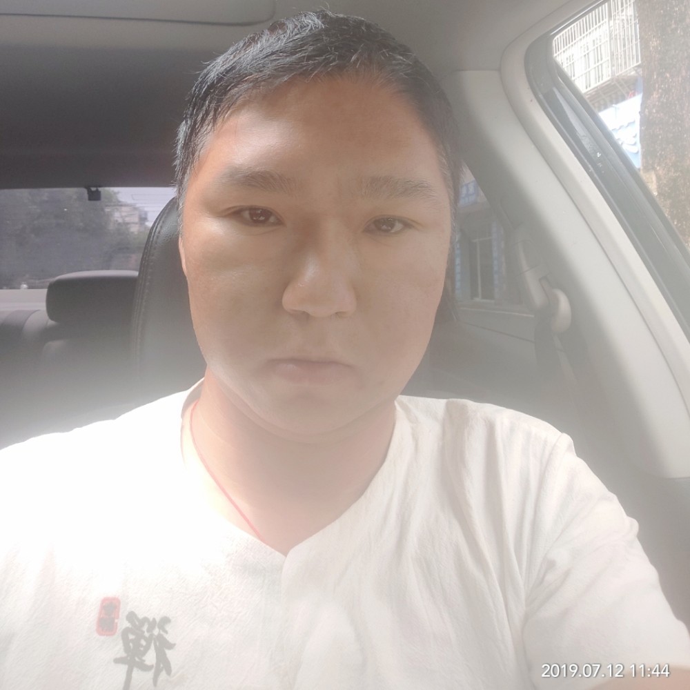 展翅～高飞的照片
