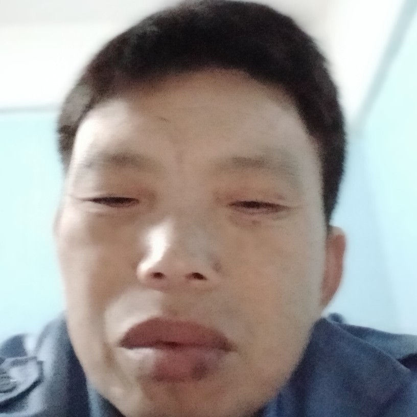 大雁遇見从容的照片