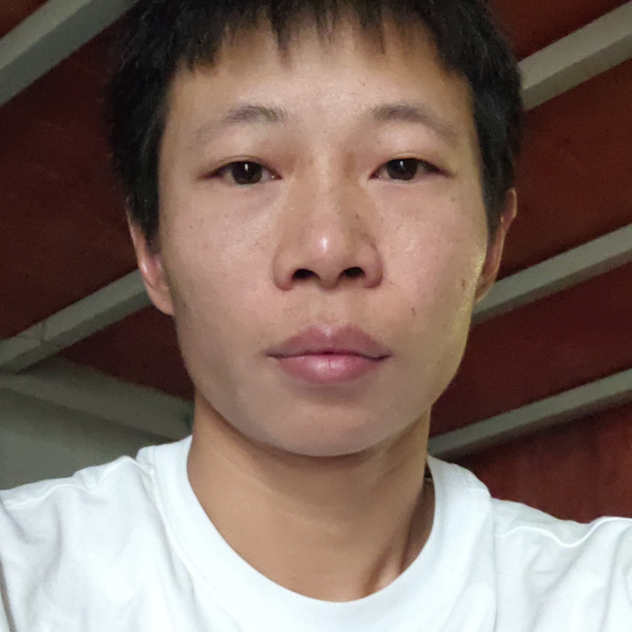 缓慢有晨阳的照片