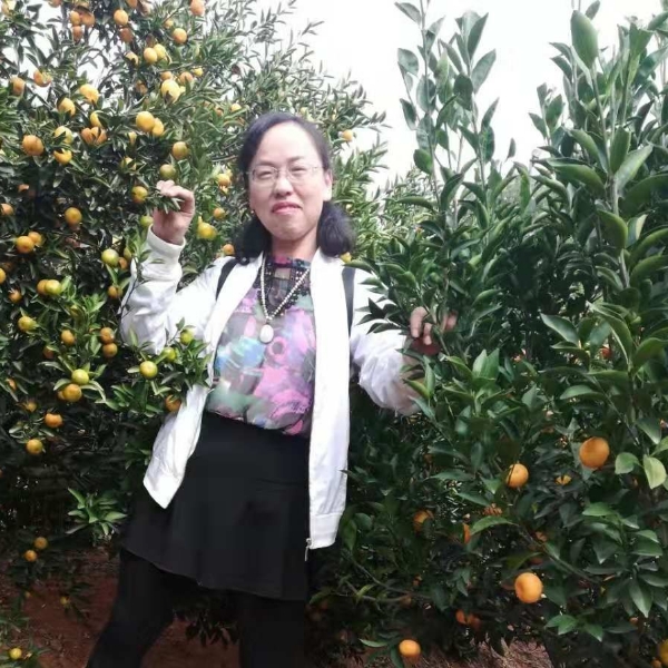 平淡向香菇的照片