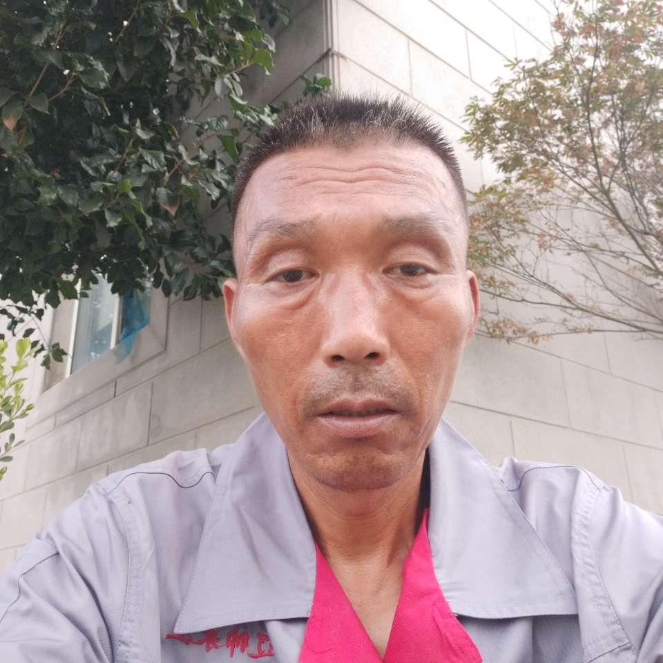 危机等待海燕的照片